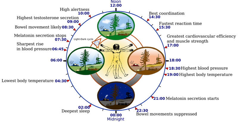 Illustration for article titled La mejor manera de empezar el dĂa, segĂşn la ciencia
